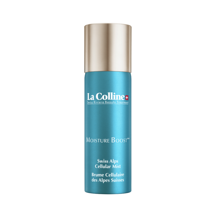 La Colline Brume Cellulaire des Alpes Suisses