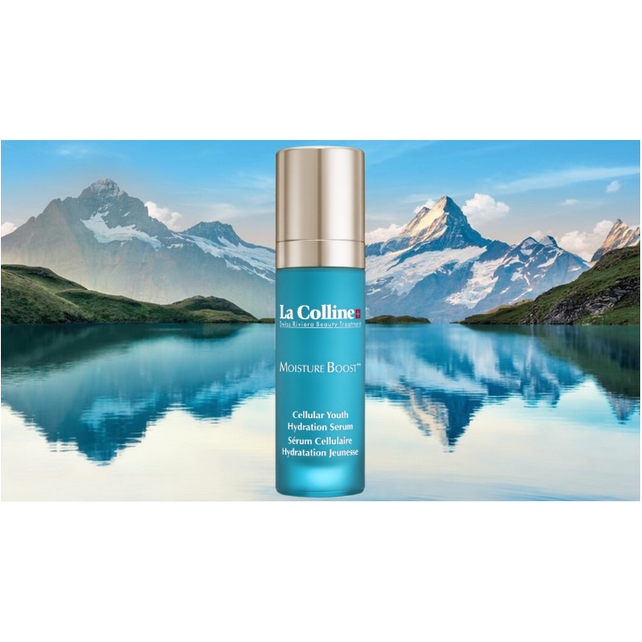 La Colline Brume Cellulaire des Alpes Suisses