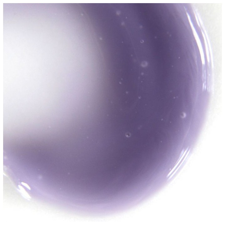 Urban Veil Anti-Pollution Potion